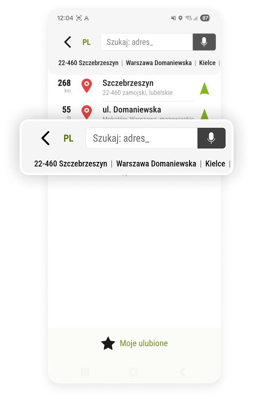 Jednopolowa wyszukiwarka